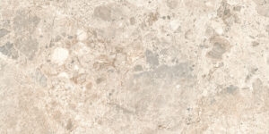 Terrazzo rett 29.5×59