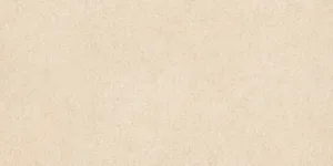 Hermes Beige 30×60