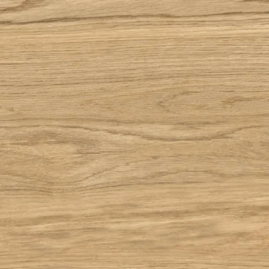 Tilia Brown 60x120
