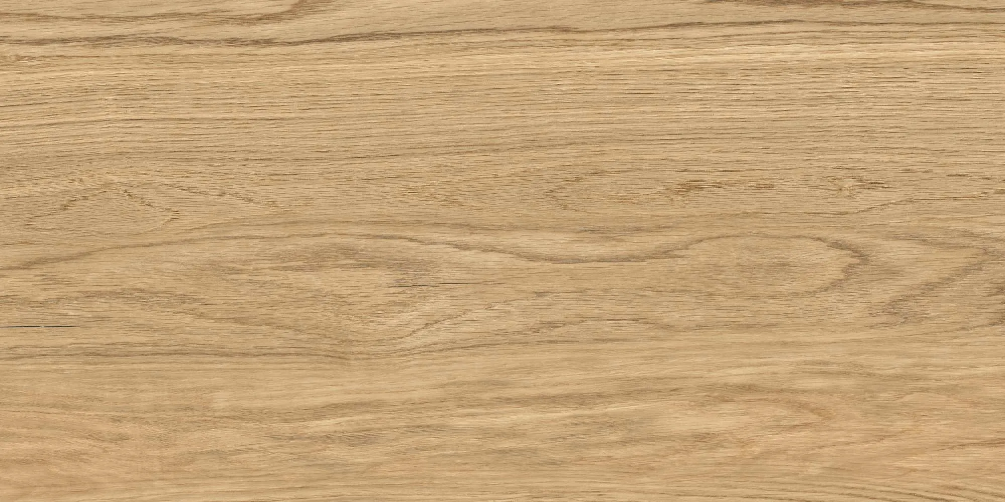 Tilia Brown 60×120