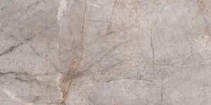 Belgium Grey Glossy 60X120