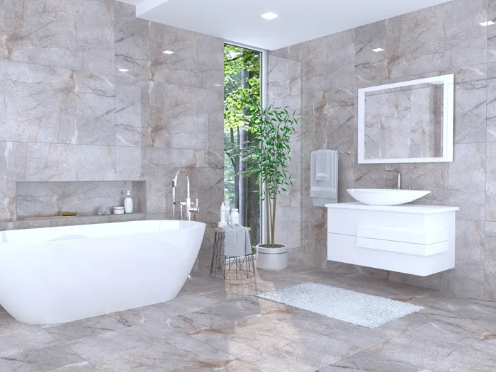 Belgium Grey Glossy 60X120