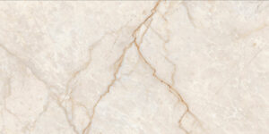 Champagne 3631 Glossy 30X60