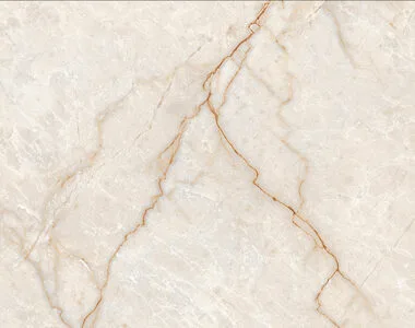 Champagne 3631 Glossy 30X60