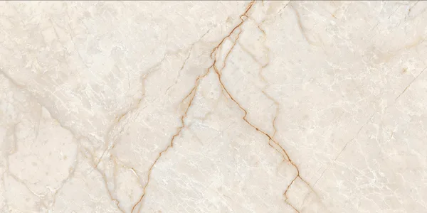 Champagne 3631 Glossy 30X60