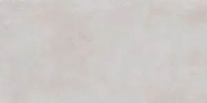 Modern Concrete Silver 59.7X119.7