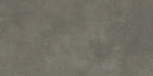 Modern Concrete Graphite 59.7X119.7