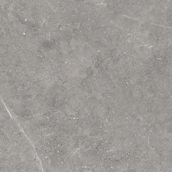 Viper Grey Rect 59.7X59.7