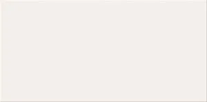 Ps500 White Glossy 29.7×60