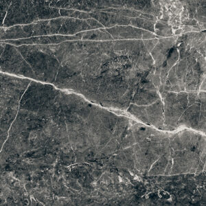 Essential Graphite Polished 59.8X59.8
