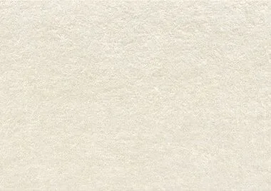 Ozone Bone rect 30×90