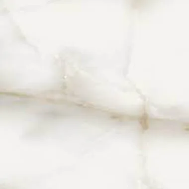 Hydra 25×25