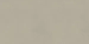 Optimum Light Grey 59.8×119.8