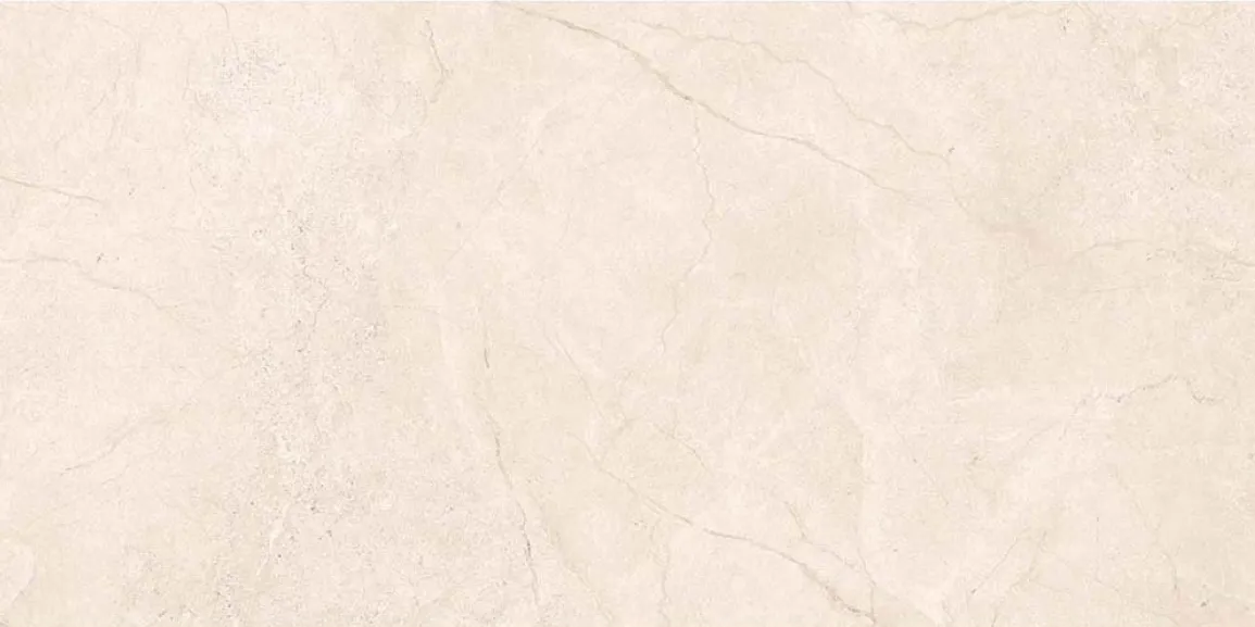 Eiden Ivory Matt Rect 59.8x119.8