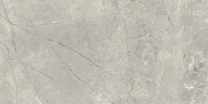 Eiden Light Grey Matt Rect 59.8×119.8