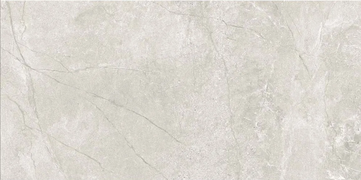Eiden Pearl Matt Rect 59.8x119.8