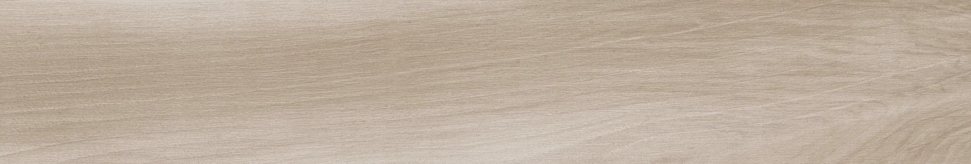 Norway Maple 20x120