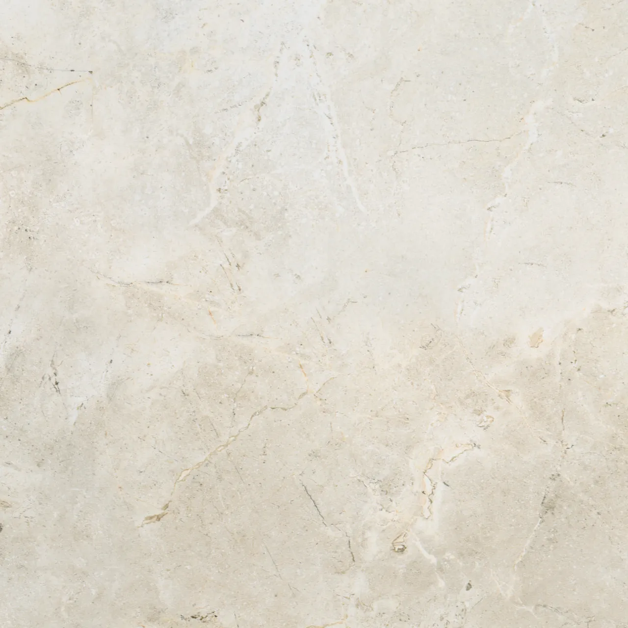 Ego Ivory pod 50x50