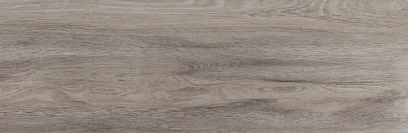 Legno Grey 244x744