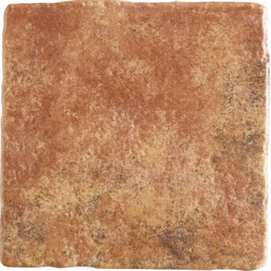 Costa Marrón 20x20