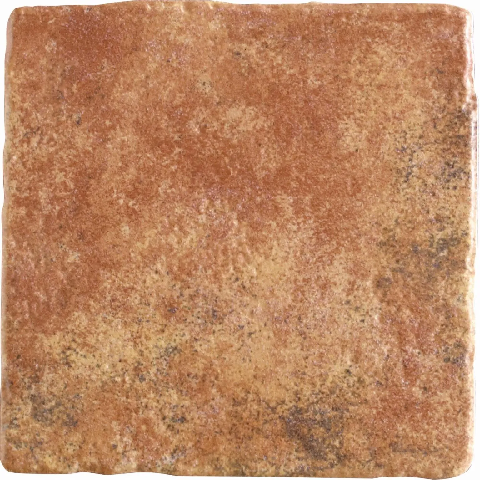 Costa Marrón 20x20