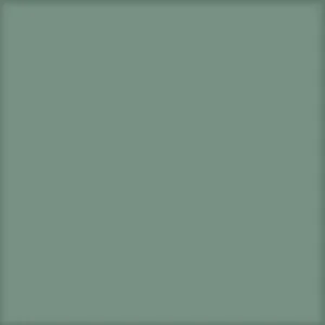 Basic Kale 25×25
