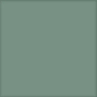 Basic Kale 25x25