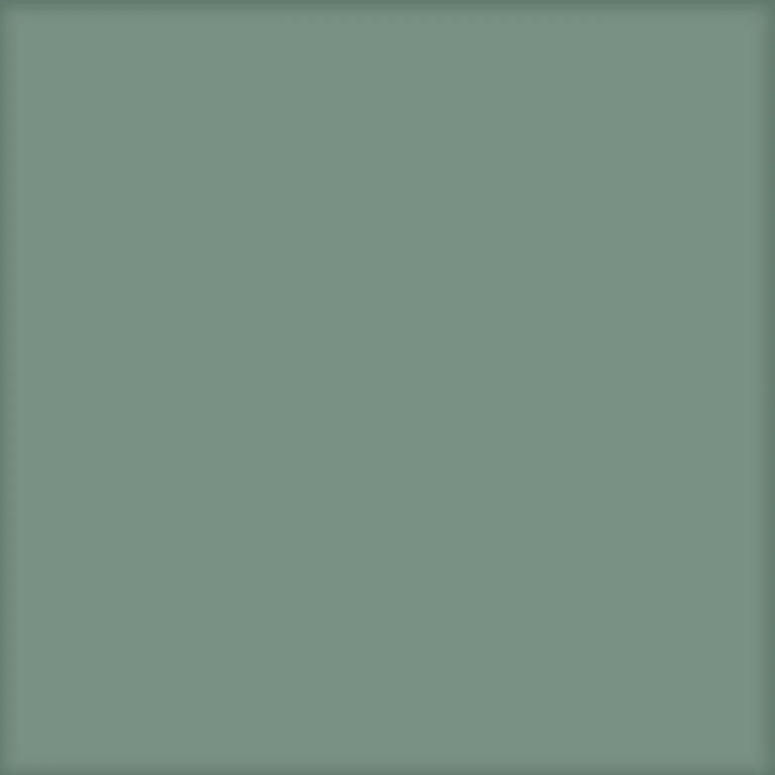 Basic Kale 25x25