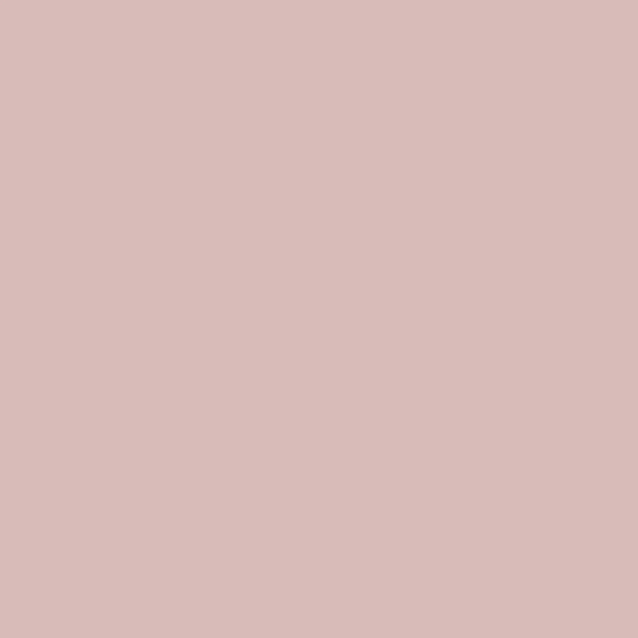Basic Rose 25x25