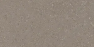 Natural Taupe 30X60