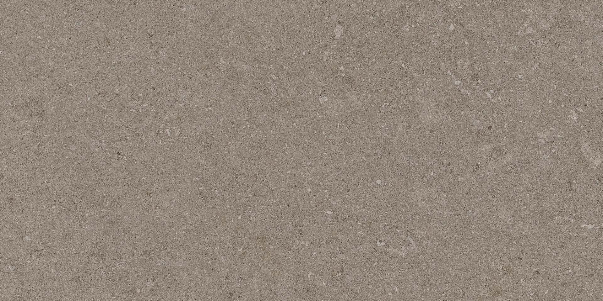 Natural Taupe 30X60