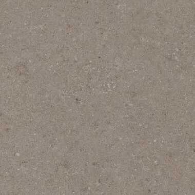 Natural Taupe 60X60