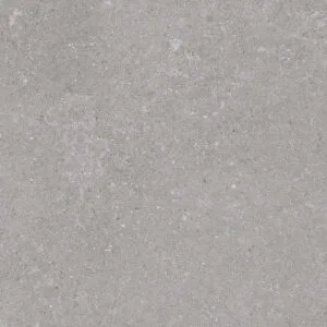 Natural Grigio 60X60