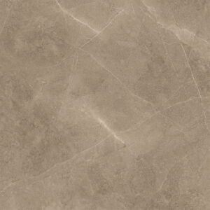 Elegant Taupe 60X60