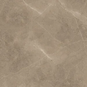 Elegant Taupe 60X60
