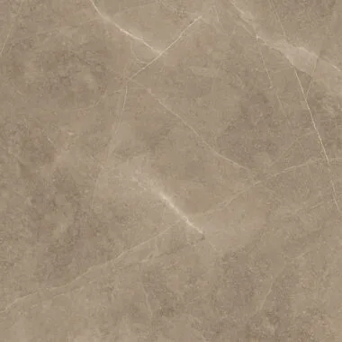Elegant Taupe 60X60