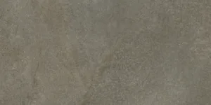 Shins Pardo Rett 60×120