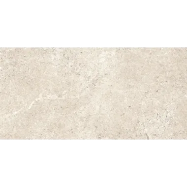 Baredo Beige Matt Rett 59.8x119.8