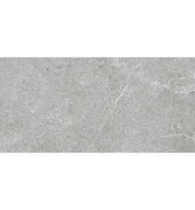 Baredo Grey Matt Rett 59.8×119.8