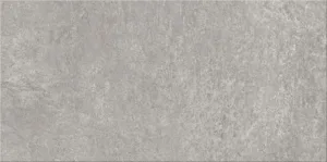 Monti Light Grey 29.7×59.8