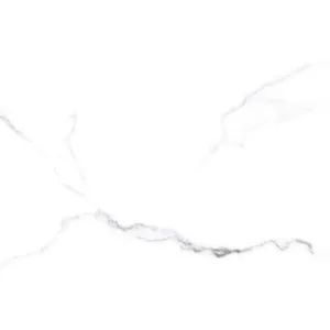 GPT1118 White silver matt rett  59.8×59.8