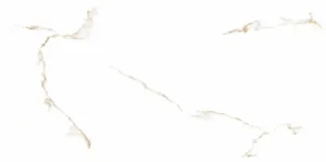 GPT1118 White gold matt rett  59.8×119.8