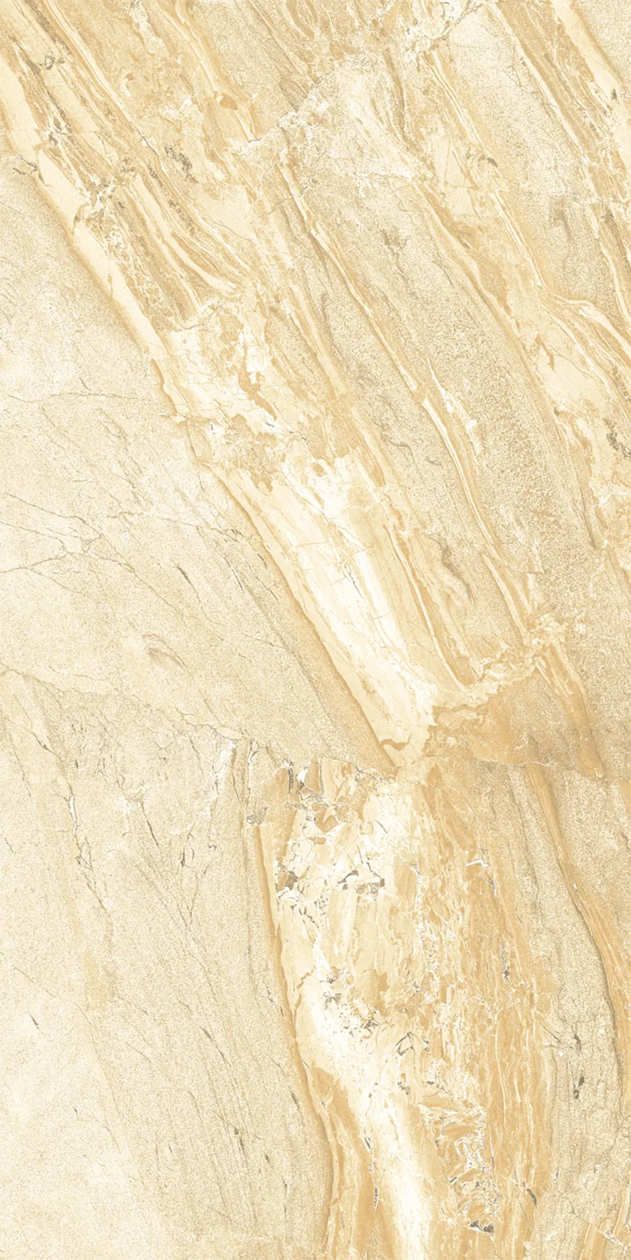 Fitch Gold 30,8X61,5