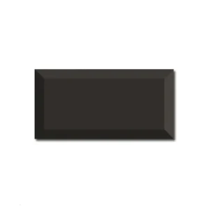 BISELADO NEGRO 10×20
