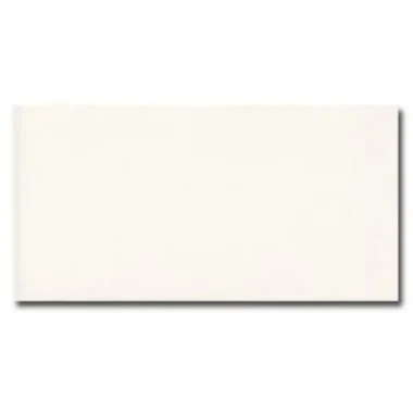 PLAQUETA BLANCO 10x20