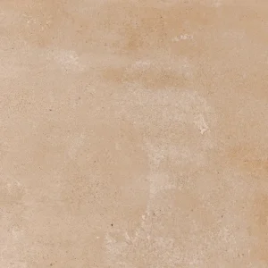 Relais Champagne Mate 100X100