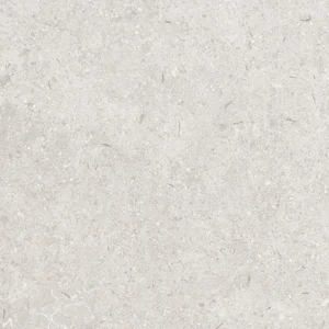 LEIRIA GREIGE MATE 60×60