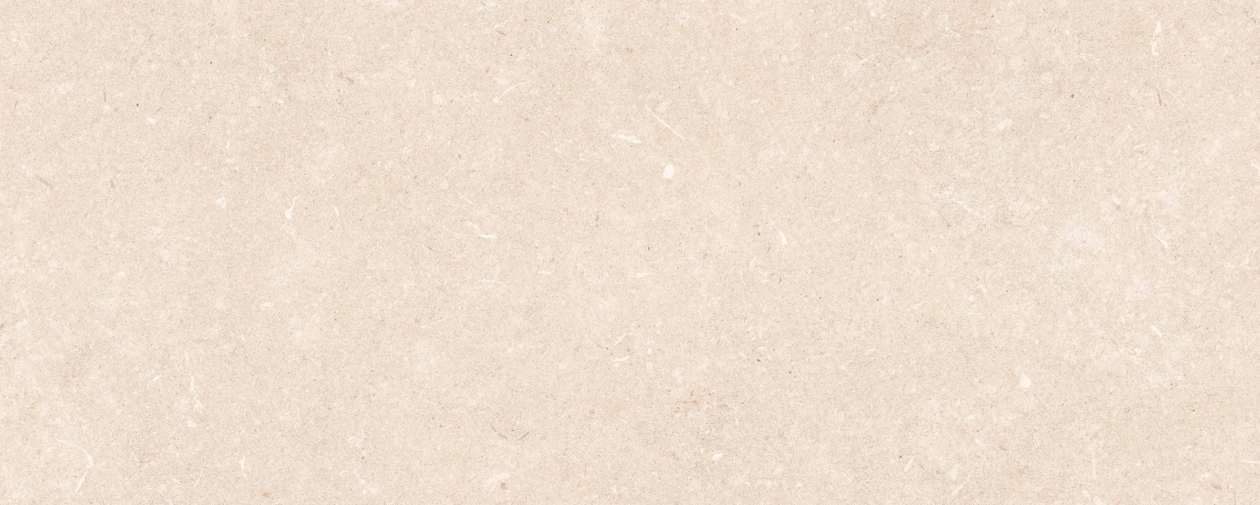 1550bcn0087.webp