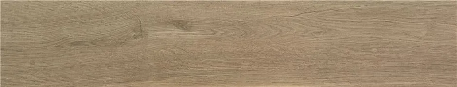 1550bcn0141.webp