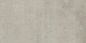 Promenade Argento 30×60 Rett